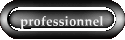 professionnel